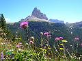 DSCN0308 (le tre cime di Lavaredo dal monte Piana)